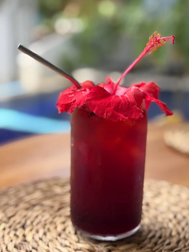 Hibi_Vibe_Iced_Tea
